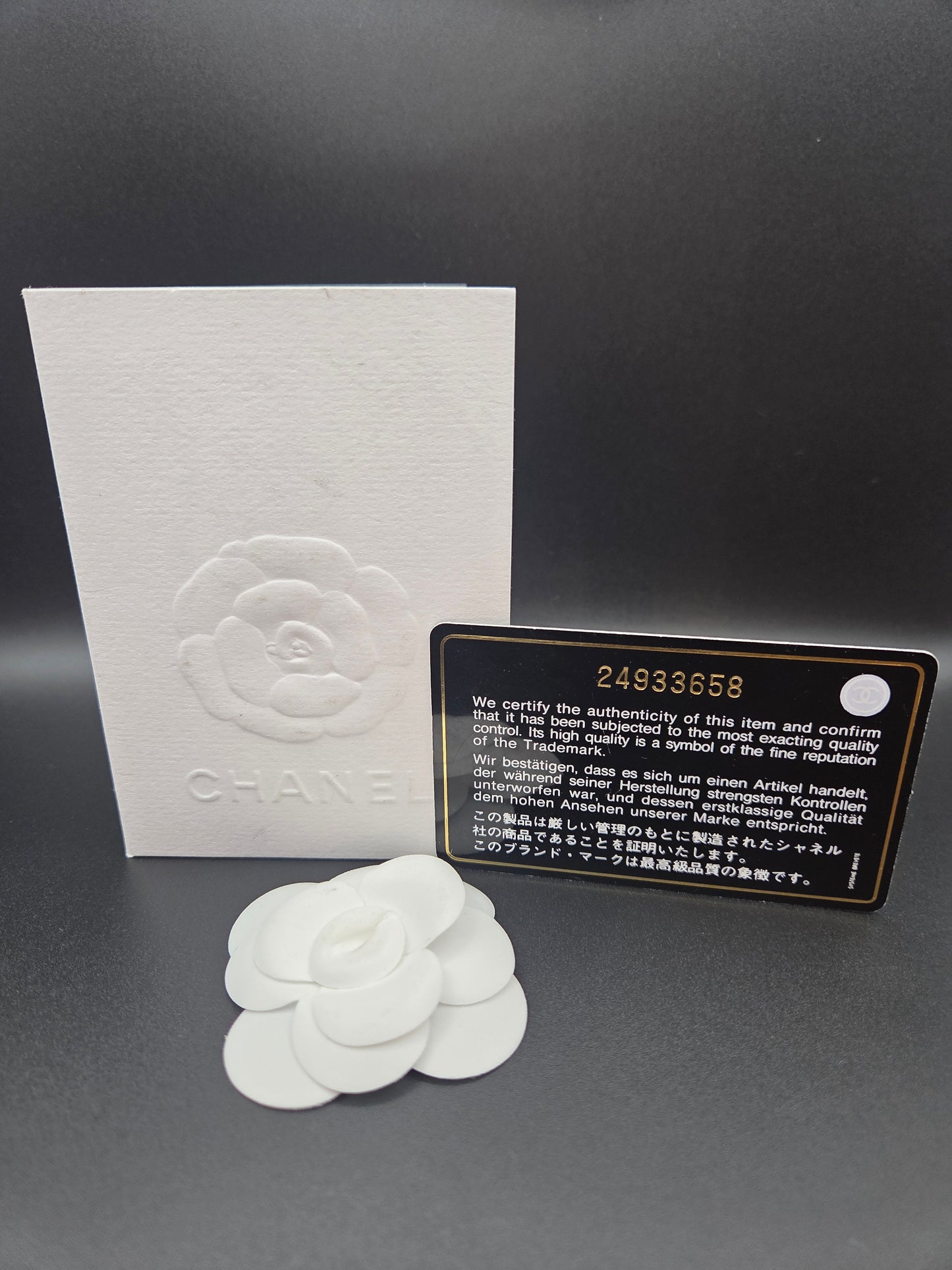 Chanel - Evening On The Moon Round Glitter Bag